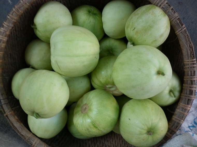 Chọn mua những quả dưa lê có vỏ màu xanh Chọn mua những quả dưa lê có vỏ màu xanh