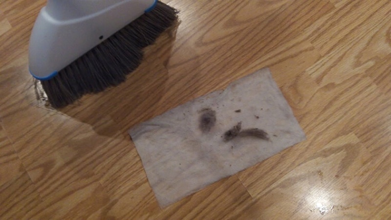 Mẹo lau sàn gỗ sạch bóng như mới với chút gia vị