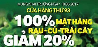 Siêu thị Bách hoá XANH 287 Phan Anh khai trương ngày 18/05/2017