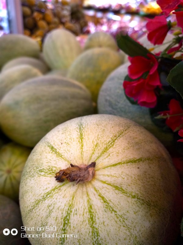 Gionee S10 khoe ảnh chụp siêu đẹp từ sức mạnh camera kép như iPhone 7 Plus Gionee S10 khoe ảnh chụp siêu đẹp từ sức mạnh camera kép như iPhone 7 Plus