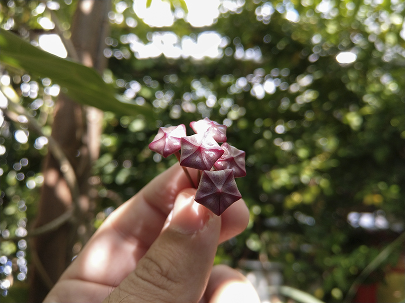 Đánh giá camera HTC U11