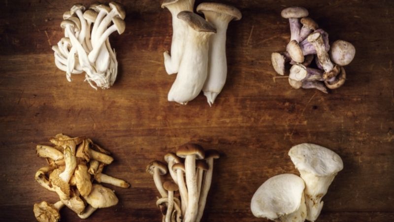 We: The best mushroom supermarket