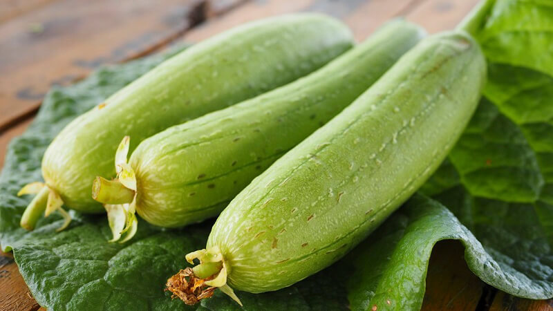 Bitter gourd fragrance is usually about 25 cm to 30 cm long or longer