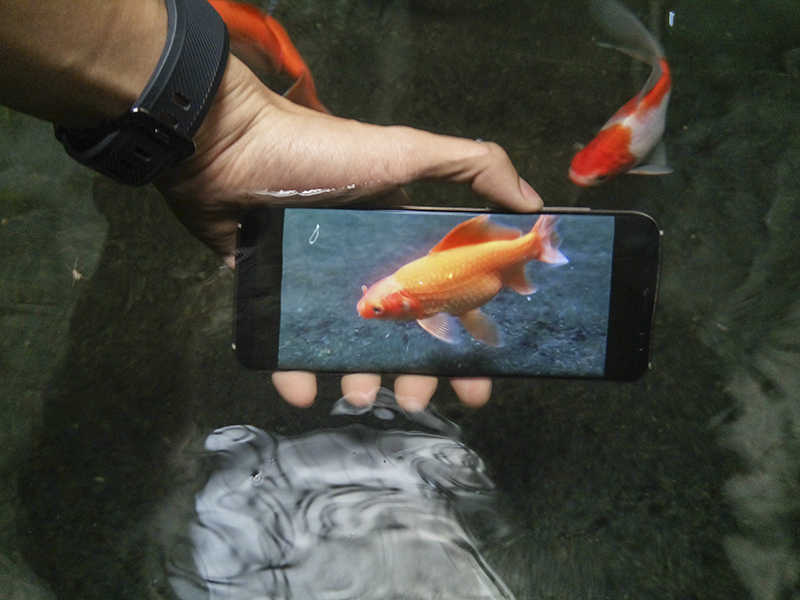 đánh giá chi tiết Mobiistar Zumbo S2 đánh giá chi tiết Mobiistar Zumbo S2