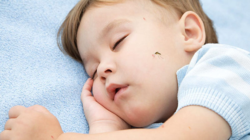 Có nên dùng thuốc chống muỗi đốt cho trẻ không?