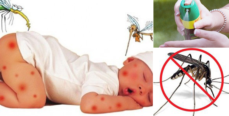 Bé dưới 2 tháng tuổi không dùng bất kỳ loại thuốc chống muỗi nào cho bé Bé dưới 2 tháng tuổi không dùng bất kỳ loại thuốc chống muỗi nào cho bé