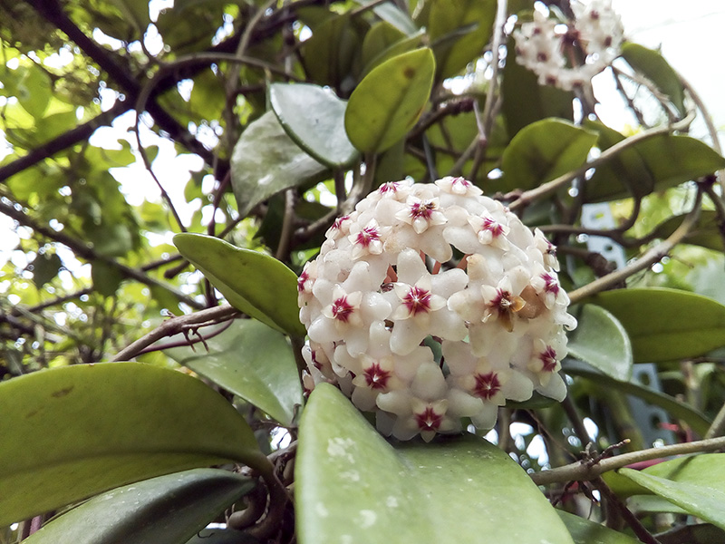 Đánh giá chi tiết Huawei Y5 2017 Đánh giá chi tiết Huawei Y5 2017