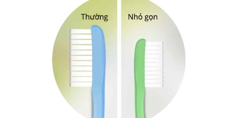 Chọn bài chải đánh răng có đầu bàn chải không quá lớn hoặc quá nhỏ