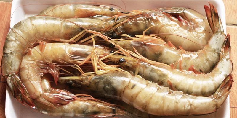 Tips for choosing fresh lobster shrimp