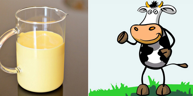 Có nên cho bé sơ sinh dùng sữa non từ bò?