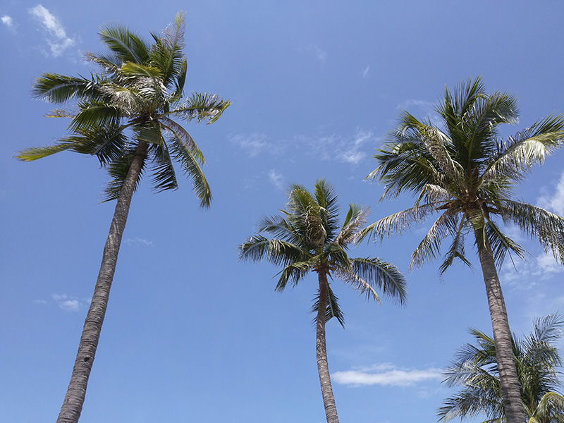 Đánh giá camera HTC 10 Evo Đánh giá camera HTC 10 Evo