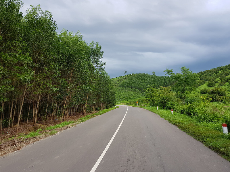 Ảnh chụp từ camera Galaxy S8/S8+