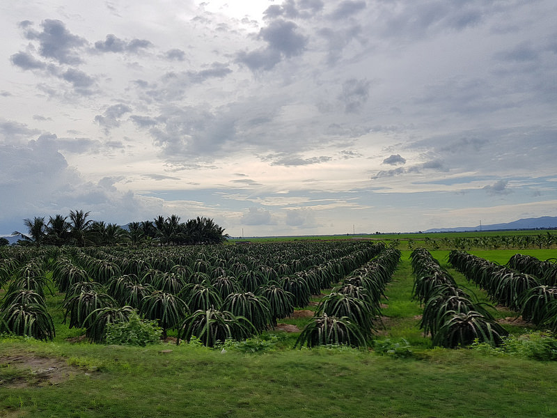 Ảnh chụp từ camera Galaxy S8/S8+