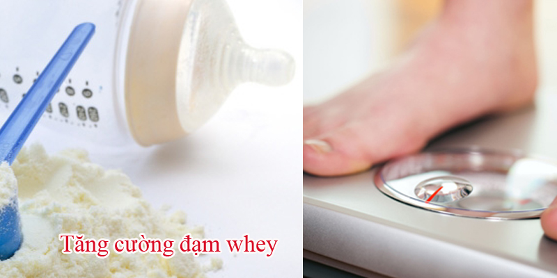 Sữa bột giàu đạm, với lượng đạm chất lượng sẽ giúp bé tăng cân tốt hơn