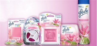 Những loại sáp thơm an toàn cho gia đình bạn