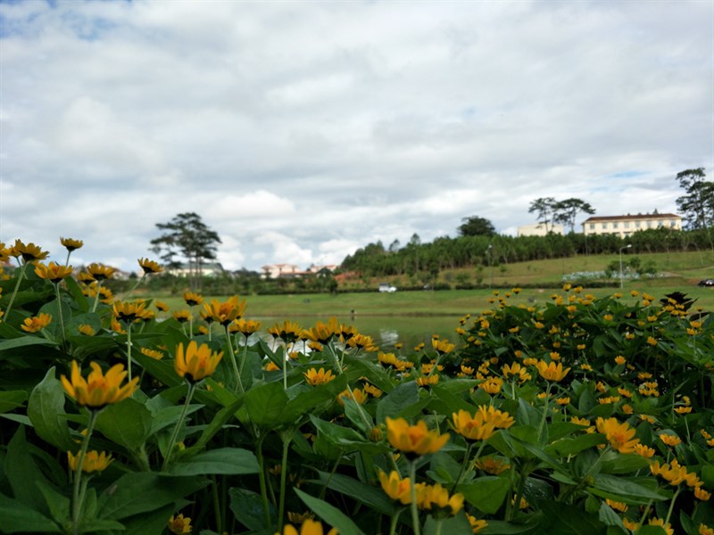 congtacdalatcungf3plus13_960x720 congtacdalatcungf3plus13_960x720