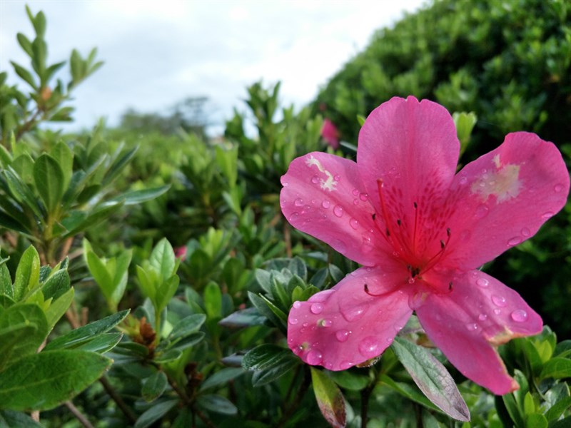 congtacdalatcungf3plus21_960x720 congtacdalatcungf3plus21_960x720