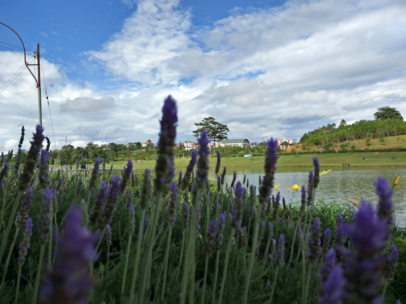 congtacdalatcungf3plus20_960x720 congtacdalatcungf3plus20_960x720