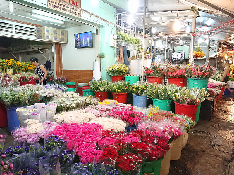 hình ảnh chụp từ Sony XZ Premium