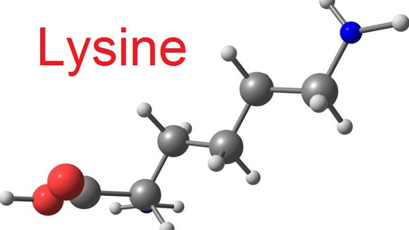 What is Lysine? 8 benefits and ways to supplement lysine daily
