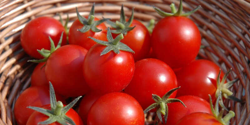 Choose to buy tomatoes without chemicals