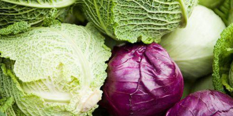How to choose and buy vegetables without chemicals for mixed salad