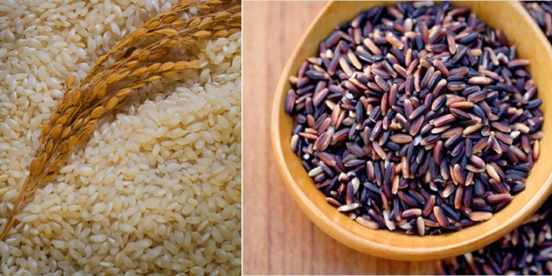 Gạo nếp cũng là ngũ cốc giàu dinh dưỡng