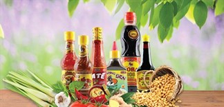 Giới thiệu công ty Nosafood