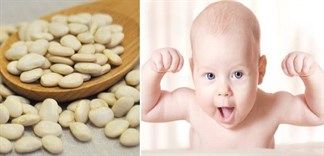 Tác dụng của đậu trắng và món ngon từ đậu trắng cho bé