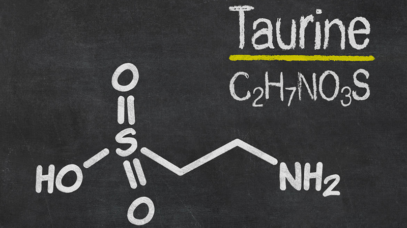 Taurine là gì? Vai trò và nguồn thực phẩm bổ sung taurine cho cơ thể