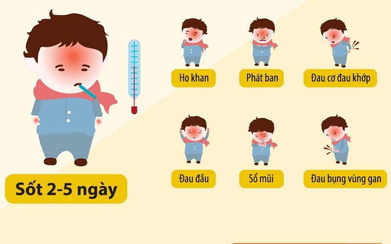 Nguy hiểm sốt xuất huyết vào mùa mưa và cách phòng tránh cho cả gia đình