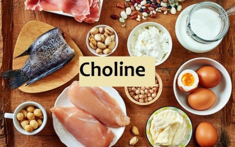 Choline là gì? Vai trò và nguồn thực phẩm bổ sung choline cho cơ thể