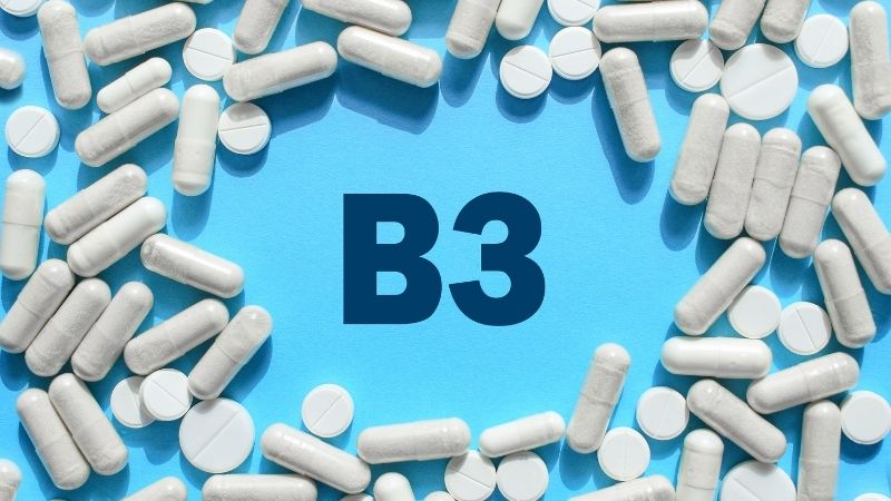 Vitamin B3 (Vitamin PP) or Niacin is one of the eight types of vitamin B