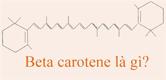 Beta carotene là gì? Vai trò, nguồn thực phẩm cung cấp beta carotene cho cơ thể