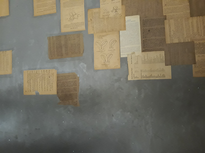 Đánh giá camera Galaxy J7 Pro Đánh giá camera Galaxy J7 Pro