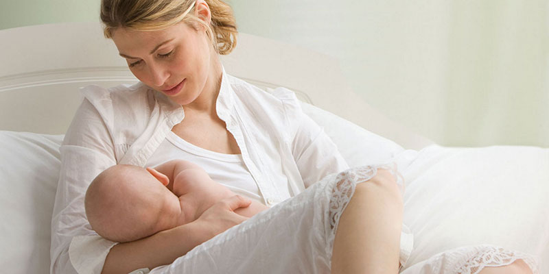 Lợi ích mà ngũ cốc lợi sữa mang lại