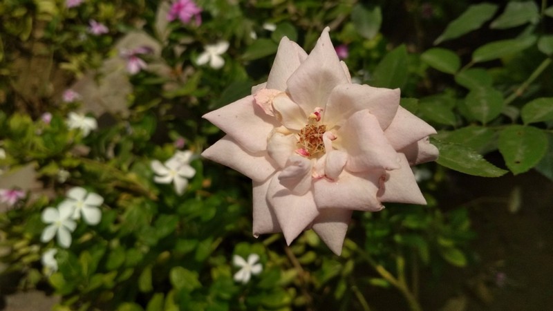 Đánh giá Xiaomi Redmi 4 Đánh giá Xiaomi Redmi 4