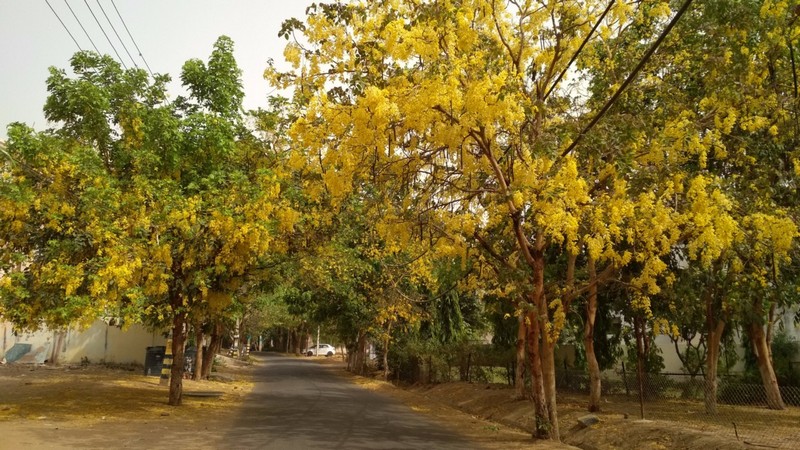 Đánh giá Xiaomi Redmi 4 Đánh giá Xiaomi Redmi 4