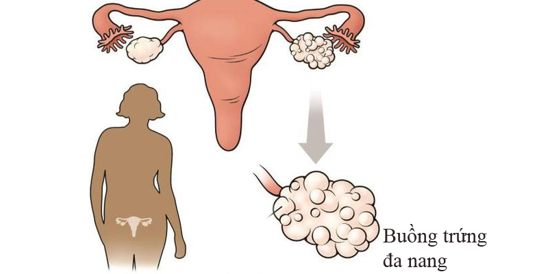 Inositol hay Vitamin B8 là gì và tác dụng của nó?-3