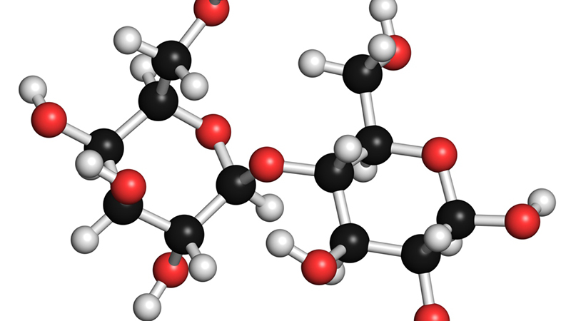 What is lactose? The role and food source of lactose for the body