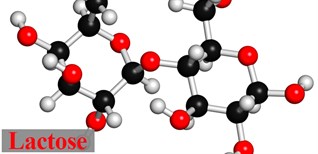 Đường lactose là gì? Vai trò và nguồn thực phẩm cung cấp lactose cho cơ thể
