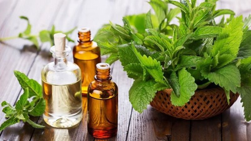 Peppermint aromatherapy oil