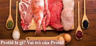 Protid là gì? Vai trò của Protid với cơ thể con người