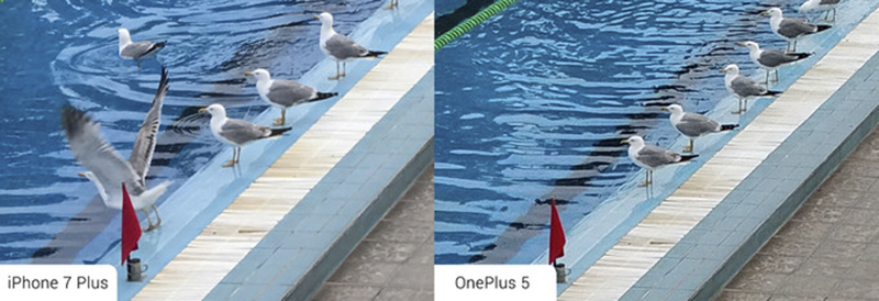So sánh camera OnePlus 5 và iPhone 7 Plus