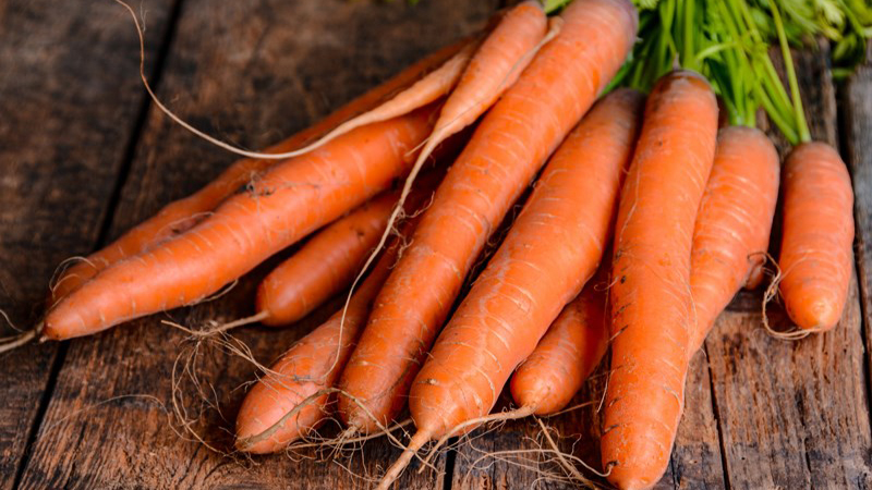 Chọn củ cà rốt có hình dáng thon thẳng, vỏ trơn láng, sáng màu