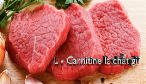 L – Carnitine là chất gì?