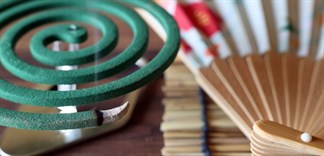 Sử dụng nhang muỗi đúng cách như thế nào?