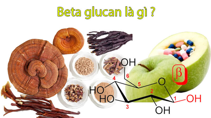 B-Glucan là gì? Tìm hiểu chi tiết về lợi ích và cách sử dụng