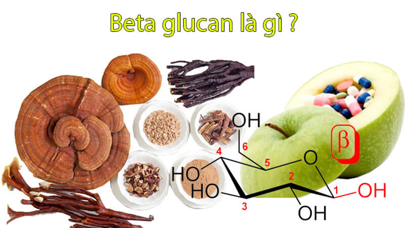 Beta Glucan Là Chất Gì?