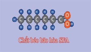 Tìm hiểu về chất béo bão hòa SFA